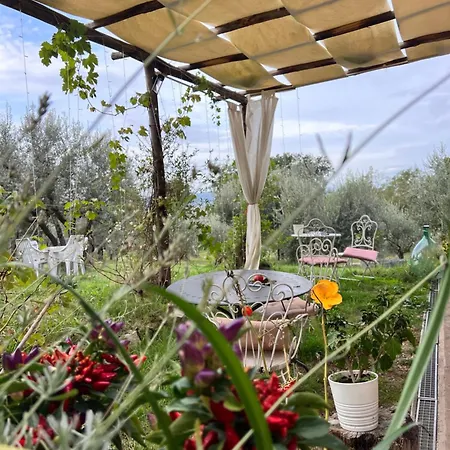 Le Casette * 阿西西